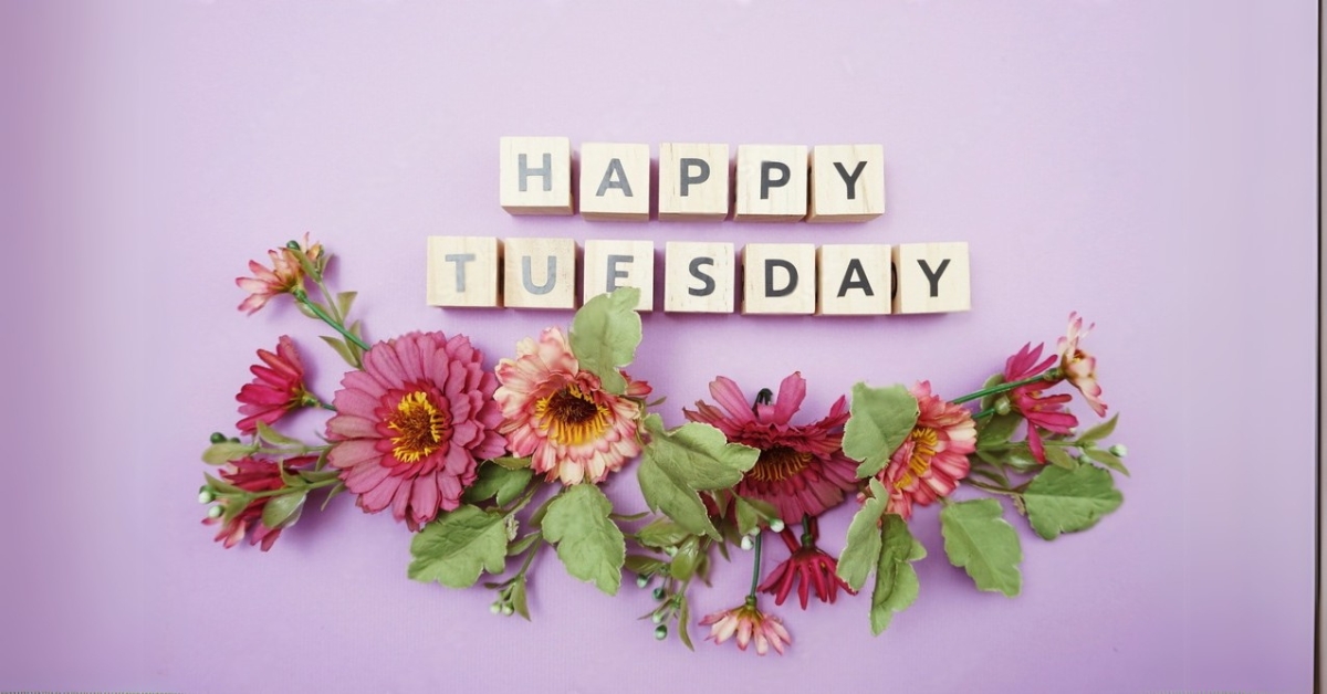 Tuesday Quotes