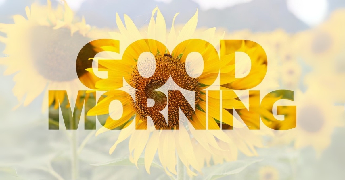 good morning post sunflower yellow