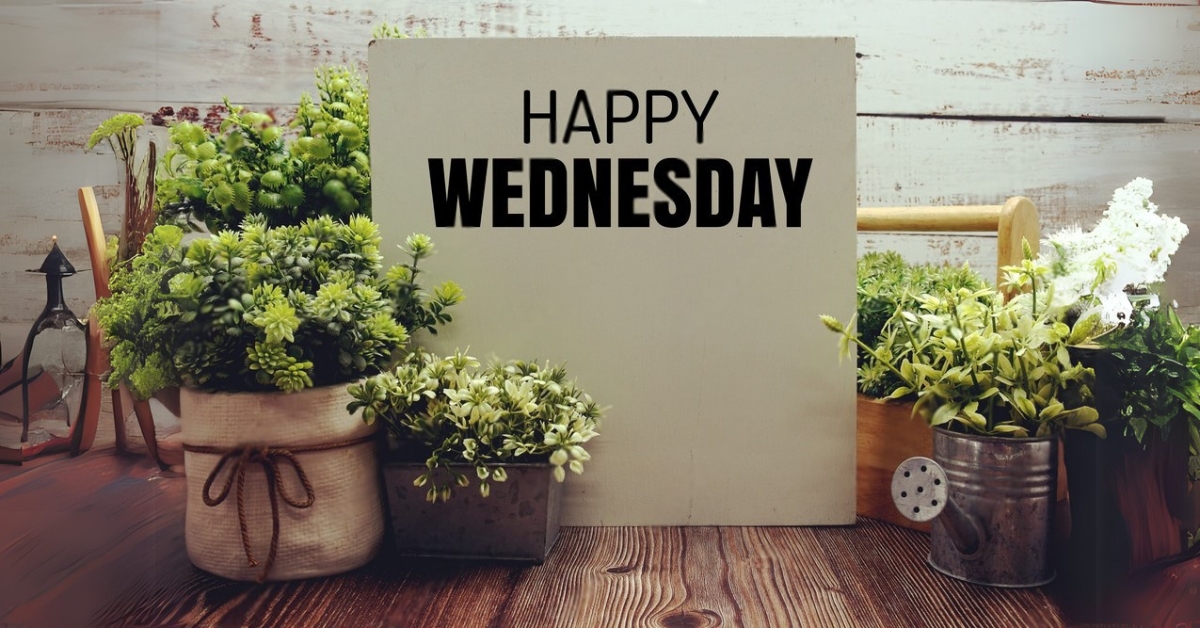 Happy Wednesday, Wednesday Quotes