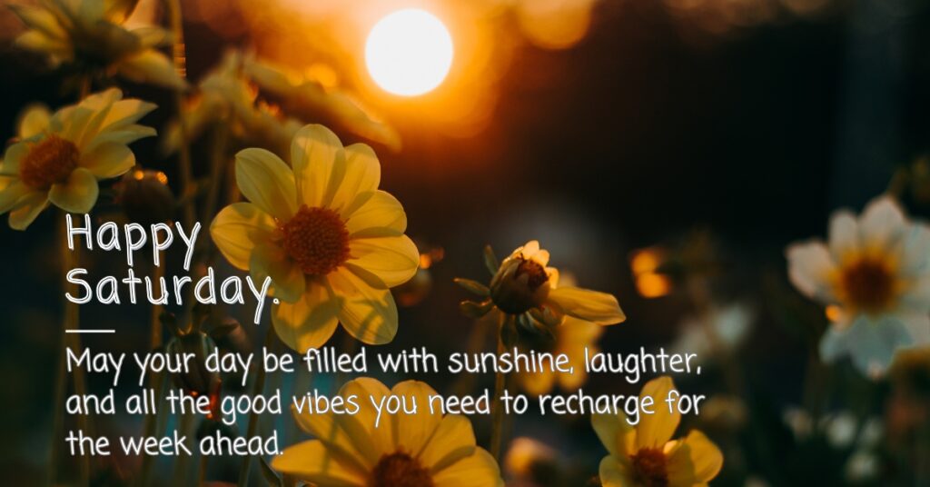 saturday wish with beautiful sunflower
