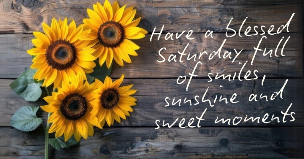 saturday wish with sunflowers