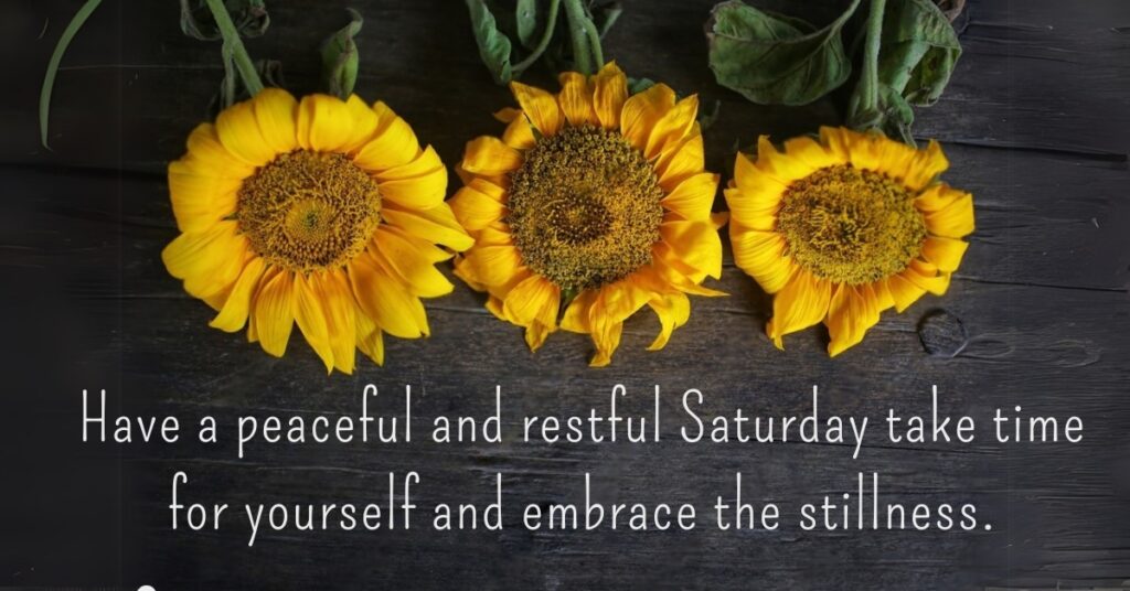 satuday quote with three sun flowers