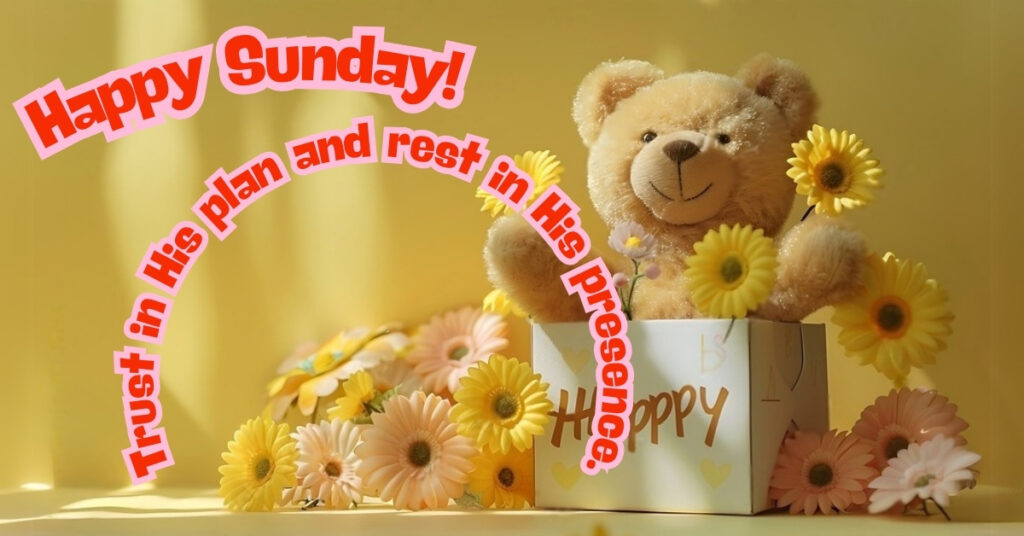 sunday wish with teddy bear