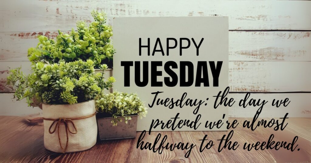 tuesday inspiration quote plant