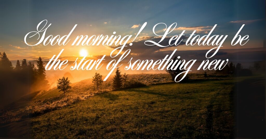 good morning forest and sunrise