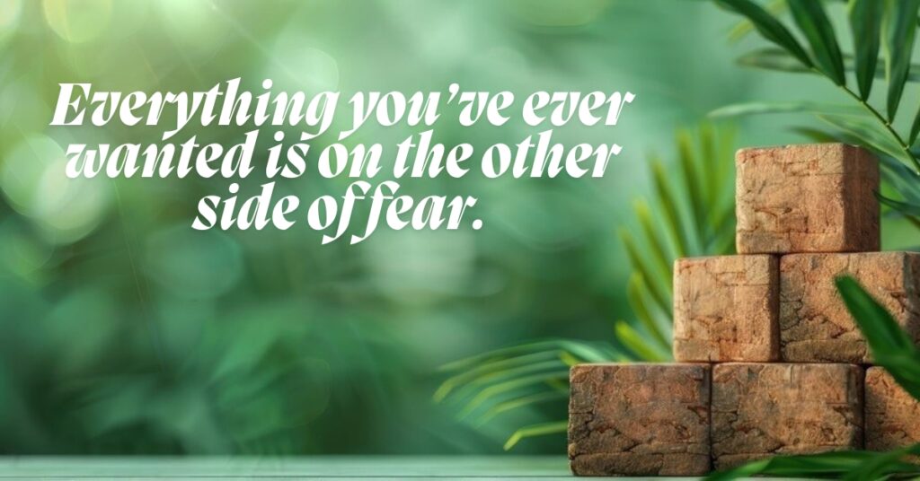 motivational quote everything you wanted